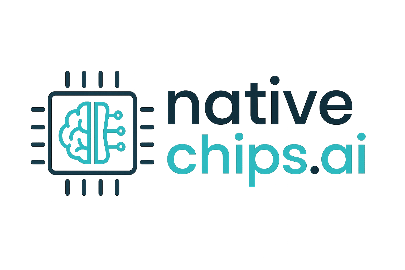 nativechips.ai logo